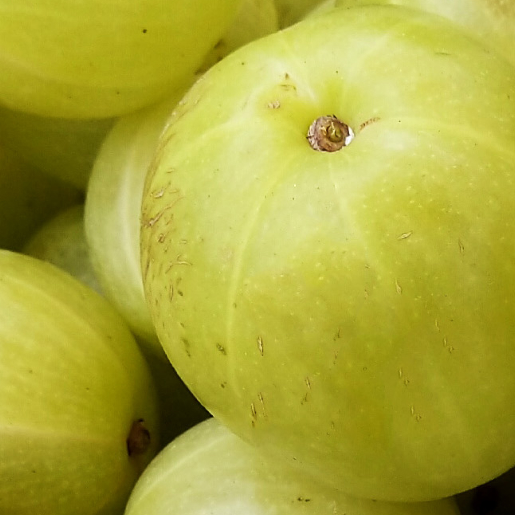 NutriPhy® Amla