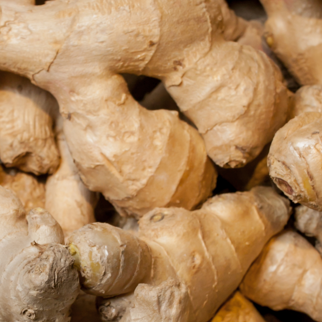 NutriPhy® Ginger