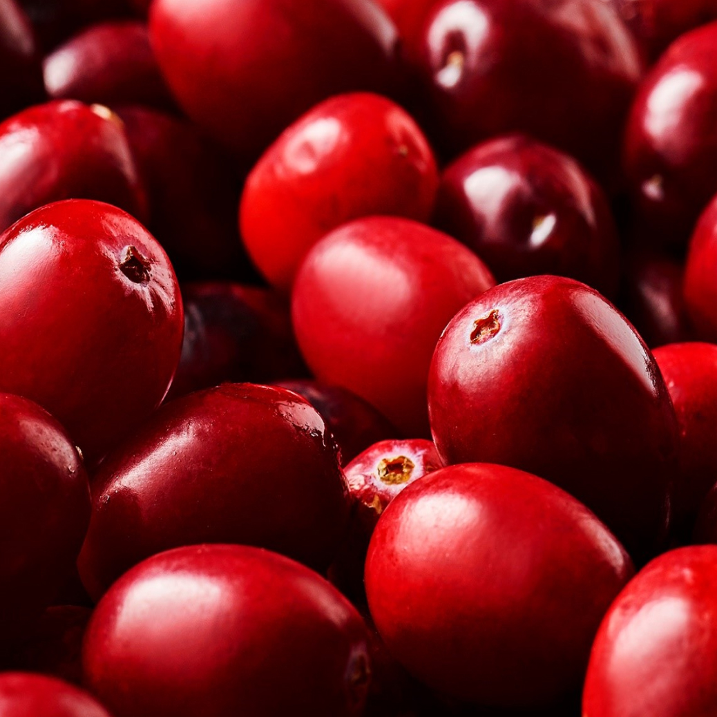 NutriPhy® Cranberry