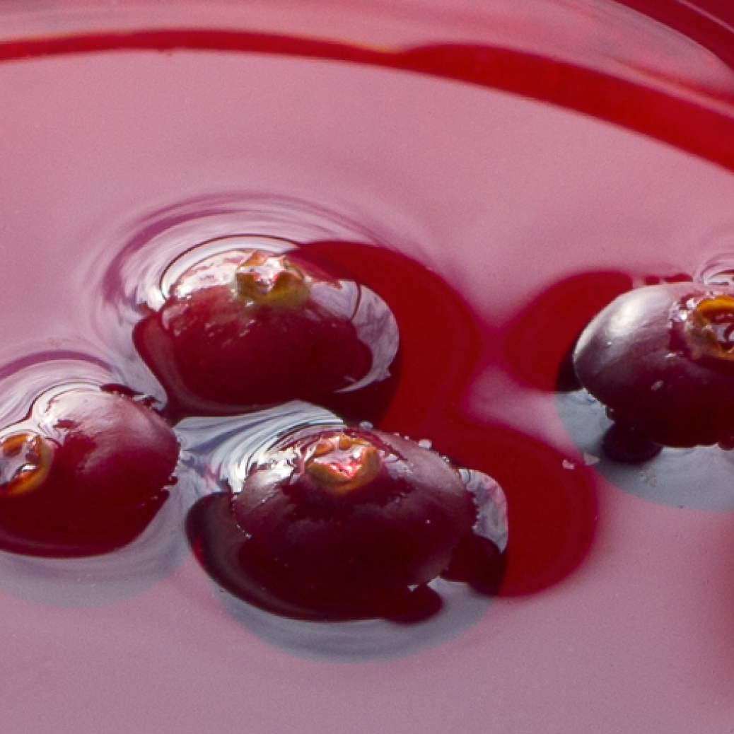 NutriPhy® Cranberry Juice