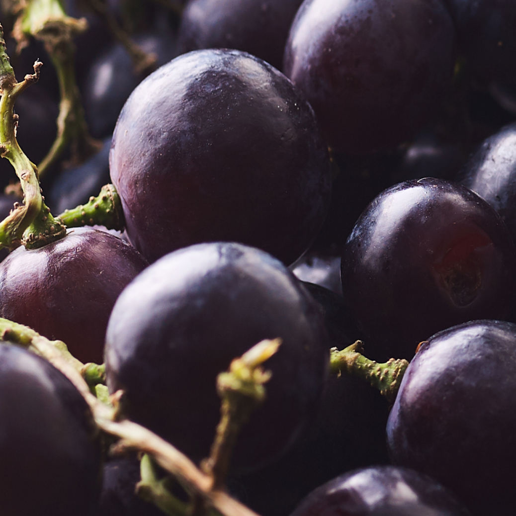 NutriPhy® Red Grape