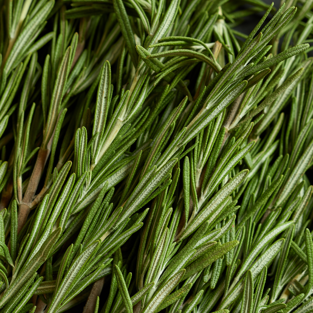 Rosemary extract