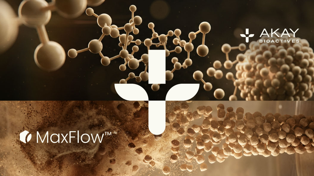 Improving Flowability and Manufacturing Efficiency with MaxFlow<sup>™</sup>